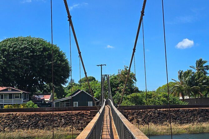 Small Group One Day Trip Kauai Island - Waipo’o Falls: included entry and quick nature time