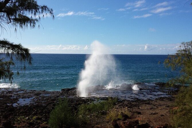 Small-Group Waimea Canyon Adventure Tour & Beyond with Lunch - Why this 7-hour Kauai mix works for first-timers