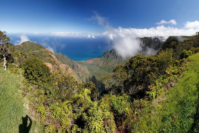 Small-Group Waimea Canyon Adventure Tour & Beyond with Lunch - Who this tour is perfect for (and who might prefer DIY)
