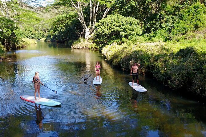 Stand Up Paddle Rental- Wailua River to Secret Falls - Price and value: why $64 per person can be a smart deal