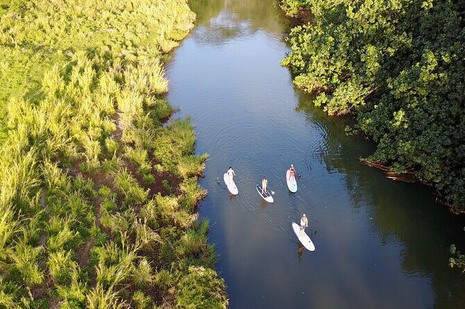 Stand Up Paddle Rental- Wailua River to Secret Falls - Where you leave the board: easy drop-off, then trail navigation gets your attention