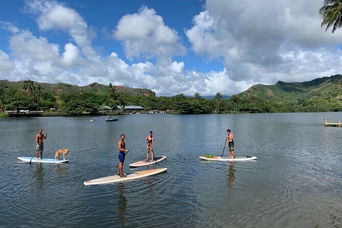 Stand Up Paddle Rental- Wailua River to Secret Falls - Waterfall time at Secret Falls: cooling off after work