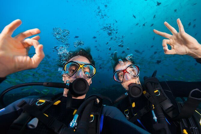 Try Scuba Diving in Kauai From a Boat: No Experience Necessary - Key Points That Make This Kauai Scuba Trial Worth It