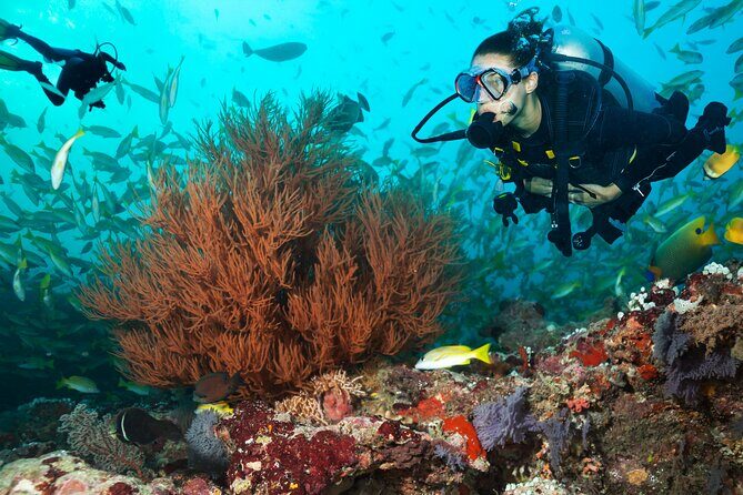 Try Scuba Diving in Kauai From a Boat: No Experience Necessary - The Kukuiula Harbor Ride and the Boat Safety Briefing
