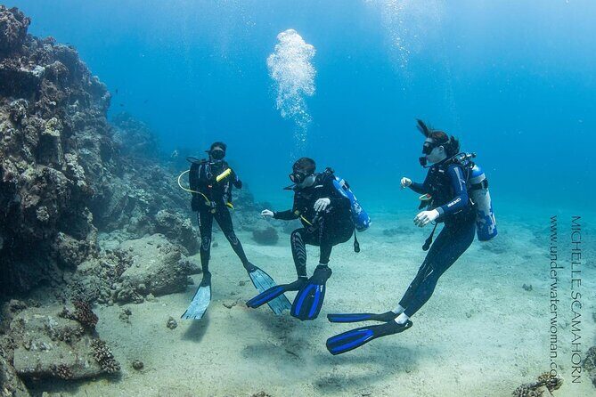 Try Scuba Diving on Kaua’i with Sea Turtles - Key things I’d clock before you go