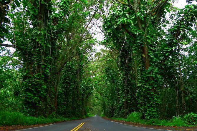 Ultimate Self-Guided Audio Driving Tour of Kauai (Na Pali, Waimea), Hawaii - Getting started at the Lihue start point (without app stress)