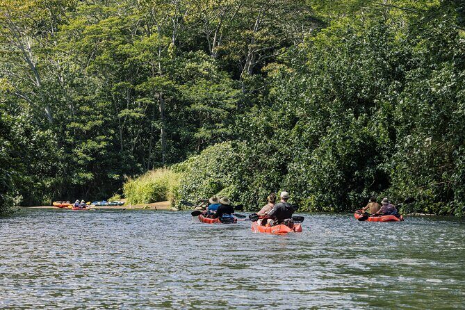 Wailua River Kayak, Hike & Waterfall Picnic by Outfitters Kauai - Why the Wailua River Kayak Part Feels Worth the Time
