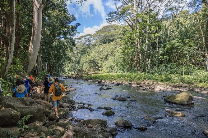 Wailua River Kayak, Hike & Waterfall Picnic by Outfitters Kauai - Who Should Book This Wailua Kayak, Hike, and Falls Day