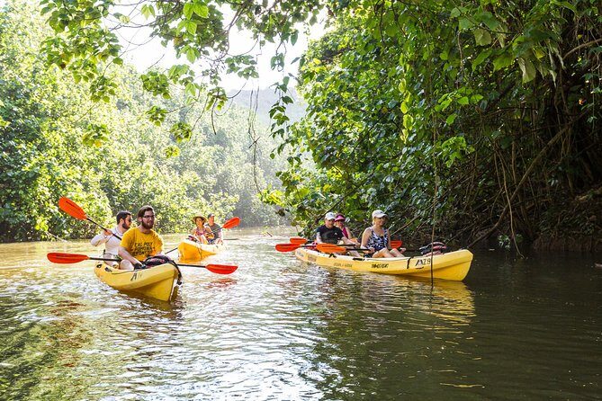 Wailua River Paddle - Why the Wailua River Paddle Works for Most Schedules