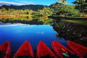 Wailua River & Waterfalls Kayak Tour: Expert-Guided Adventure - Price and what you’re actually buying for $145.86