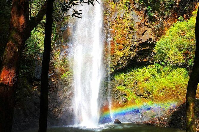 Wailua River & Waterfalls Kayak Tour: Expert-Guided Adventure - What to wear: the single decision that controls your comfort