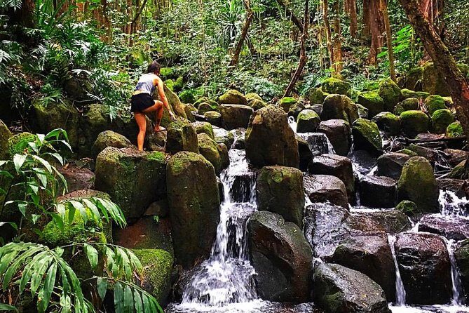 Wailua River & Waterfalls Kayak Tour: Expert-Guided Adventure - Kayak skills: what’s easy, what’s not, and how to prepare mentally