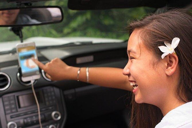 Waimea Canyon & Na Pali Driving Tour app - Pihea Trail and the Nā Pali Coast Views: Your Main Photo Window