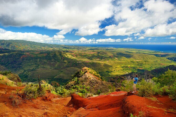 Waimea Canyon Private Tour with Local Guide from Kauai - Wailua Falls: short time, big payoff, low walking demand