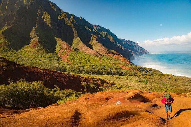 Waimea Canyon Private Tour with Local Guide from Kauai - Price and what you’re really paying for ($1,246.19 per person)