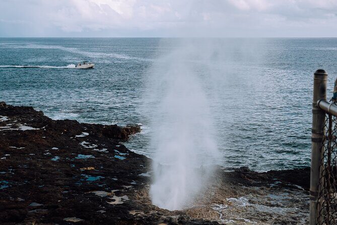 Waimea Historical and Cultural Shared Tour - Key things you’ll notice