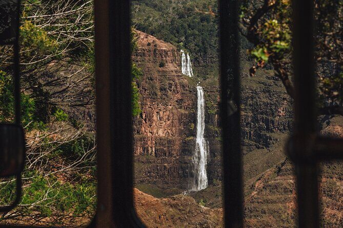 Waimea Historical and Cultural Shared Tour - Waimea Canyon State Park: color, scale, and a real height check