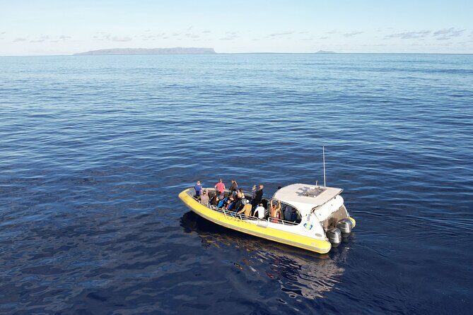 Winter Whale Watching Adventure in Kauai - Crew teamwork: how captains like Andrew, Andy, Ryan, and others affect your odds